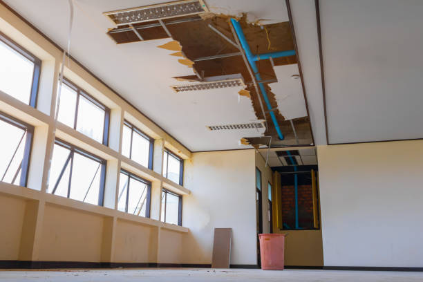 Best Water damage restoration near me  in Chelsea, OK