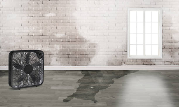  Chelsea, OK Water damage restoration Pros