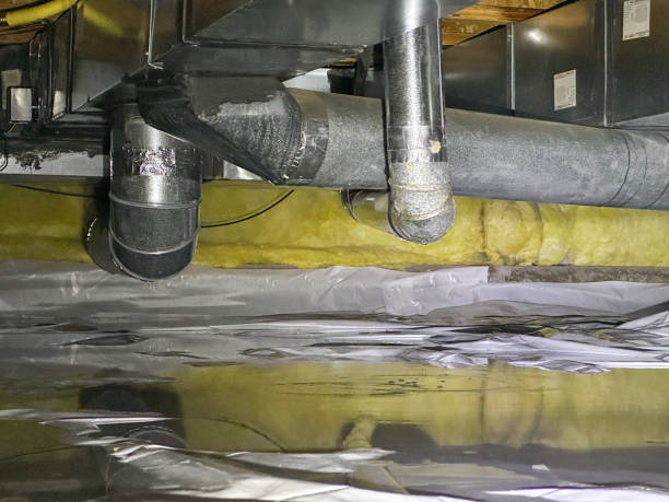 Best Water damage cleanup near me  in Chelsea, OK