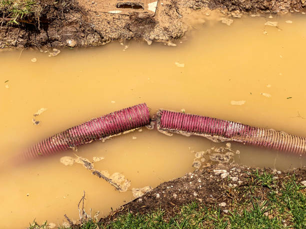 Best Local water damage restoration  in Chelsea, OK